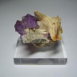 Fluorita con barita
4,5 x 4 cm. (El cristal mayor mide 1cm.)
(Autor: Darío Menéndez)