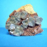 Fluorita
5,5 x 4,5cm. (El cristal mayor mide 1cm.)
(Autor: Darío Menéndez)