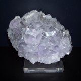 Fluorita
11 x 8 cm. (El cristal mayor mide 2 cm.)
(Autor: Darío Menéndez)