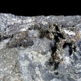Plata
Campo de visión 2,5 cm.
(Autor: Antonio P. López)