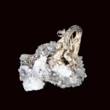 Plata
2 x 2 cm.
(Autor: Antonio P. López)