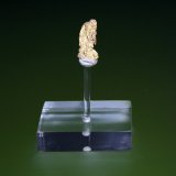 Oro
1,9 x 0,8 cm.
(Autor: Antonio P. López)