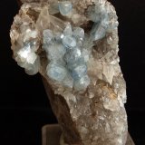 Celestina
10 x 6 cm
(Autor: Pedro Antonio)