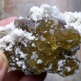 Fluorita, dolomita y barita
8 x 4 cm
(Autor: Cristalino)