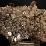 Aragonito
9 x 5.5 cm
(Autor: Pedro Antonio)