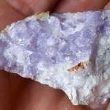 Fluorapatito (Grupo Apatito)
3,5 x 2 cm
(Autor: Cristalino)
