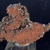 Aragonito
7 x 6 cm
(Autor: Pedro Antonio)