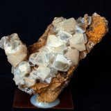 Calcita
9 x 6.5 cm
(Autor: Pedro Antonio)