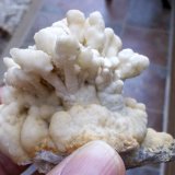 Aragonito
8 x 6 cm
(Autor: Cristalino)