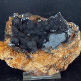 Psilomelana
8 x 6.5 cm
(Autor: Pedro Antonio)