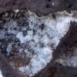 Wavellita
5 x 5 cm (la pieza)
(Autor: Cristalino)