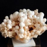 Aragonito
6 x 4 cm
(Autor: Pedro Antonio)