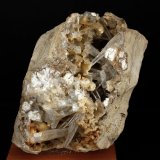 Celestina
7.5 x 5 cm
(Autor: Pedro Antonio)