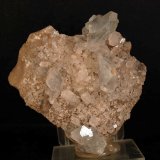 Celestina
8 x 7.5 cm
(Autor: Pedro Antonio)