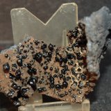 Goethita
6.5 x 5 cm
(Autor: Pedro Antonio)