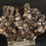 Cuarzo
7 x 5.5 cm
(Autor: Pedro Antonio)