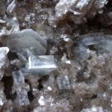 Fluorapatito (Grupo Apatito) y Moscovita
6,5 x 4,5 cm
(Autor: Cristalino)