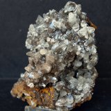 10 x 7 cm
(Autor: Pedro Antonio)