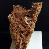 Yeso
7 x 6 cm
(Autor: Pedro Antonio)