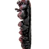 Cobre
63 mm x 10 mm. Cristal principal: 8,5 mm de anchura
(Autor: Carles Millan)