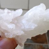 Calcita
6 x 3 cm
(Autor: Cristalino)