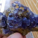 Fluorita
7 x 4 cm
(Autor: Cristalino)