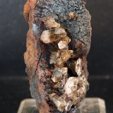 Cuarzo
8 x 3 cm
(Autor: Pedro Antonio)