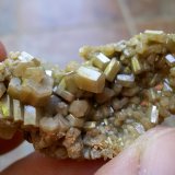 Piromorfita
3 x 2 cm
(Autor: Cristalino)