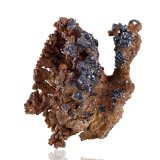 Cobre y Cuprita
16 x 11 x 16 cm
(Autor: Museo MIM)