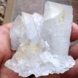 Celestina
6 x 5 cm
(Autor: Cristalino)