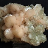 Fluorapophyllita-(K) (Apofilita), Stilbita-Ca (Estilbita-Ca)
13.5 x 9.5 cm
(Autor: Pedro Antonio)