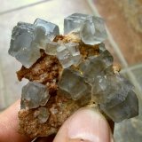 Fluorita
1,20 cm el cristal de mayor dimensión
(Autor: Cristalino)