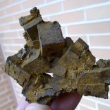 limonita pseudomórfica de Pirita
6 x 4 cm
(Autor: Cristalino)