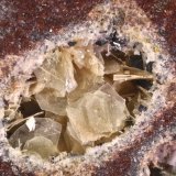 Tridimita
Conjunto 4 mm
(Autor: Jorgina-Agusti-Màrius)