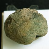 Prehnita
4.5 x 3.5 cm
(Autor: Pedro Antonio)