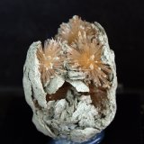Aragonito
5 x 3 cm
(Autor: Pedro Antonio)