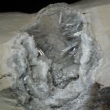 Celestina.
6'1 x 4'3 cm Obertura de la geoda
(Autor: Jordi Franco)