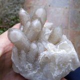 Cuarzo
Hasta 3 cm de longitud los cristales.
(Autor: Cristalino)