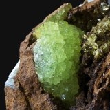 Adamita
5,8 x 4,1 cm.
(Autor: Xavier bordas)