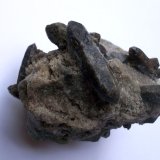 Cuarzo
Hasta 3,5 cm de longitud los cristales.
(Autor: Cristalino)