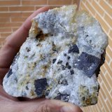 Galena, esfalerita y calcopirita
9 x 8 cm
(Autor: Cristalino)