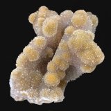 Cuarzo (variedad calcedonia)
15,2 x 10,6 cm.
(Autor: Xavier bordas)