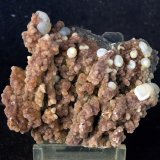 Cuarzo (variedad calcedonia)
6 x 5.5 cm,
(Autor: Pedro Antonio)