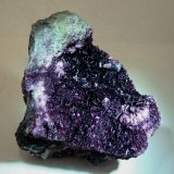 Eritrina
60x50 mm.
(Autor: Jesus Franquesa Baucells)