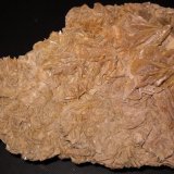 Yeso
19 x 13 cm
(Autor: Jordi Franco)
