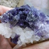 Fluorita y cuarzo
8,8 x 5,3 cm
(Autor: Cristalino)