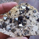 Magnetita
8 x 5 cm
(Autor: Cristalino)