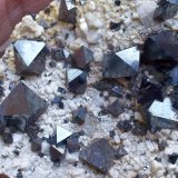 Magnetita
8 x 5 cm
(Autor: Cristalino)