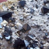 Magnetita
8 x 5 cm
(Autor: Cristalino)