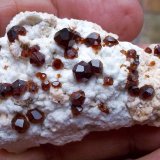 Spessartina (Espesartina) (Grupo Granate)
5 x 3 cm
(Autor: Cristalino)